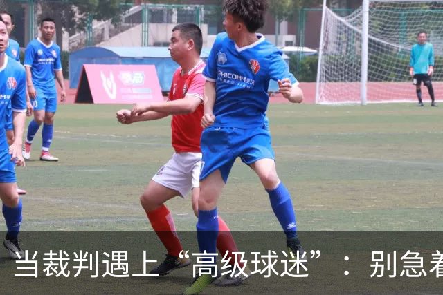 当裁判遇上“高级球迷”：别急着驱逐，先别惹麻烦！